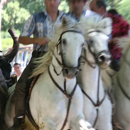 Domaine Des Agnelles